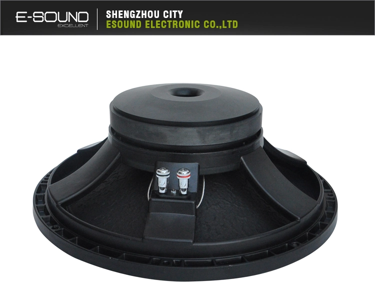 High Quality Speaker Diaphragm L12p540