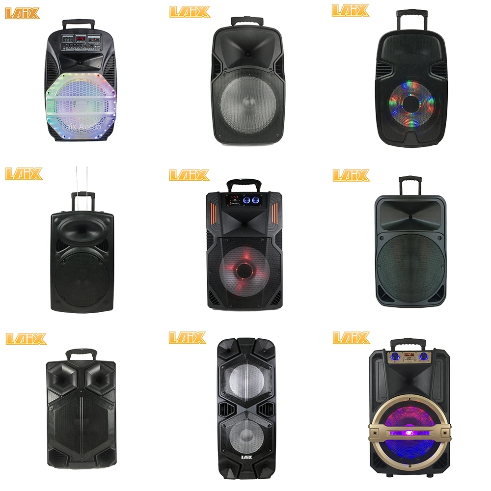 Guangzhou OEM Dual 10 Inch Woofer Portable Partybox Caixa De Som Private Flame LED Light Active Aux Wireless Bt Audio Speaker