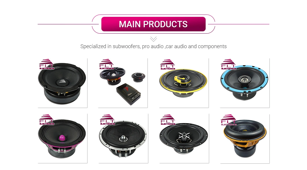 Professionnal Audio 6.5 Inch Car Speaker Midrange