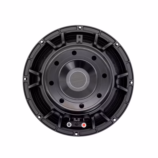Subwoofer de carro de 12 polegadas de grande potência em áudio de carro com alto-falantes de corrida de carro