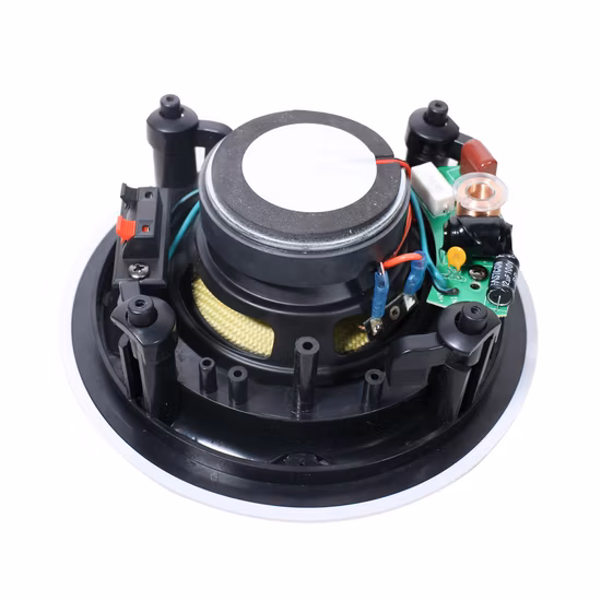 Alto-falante de teto de 5 polegadas Alto-falante coaxial do sistema PA (MCF163-5T)