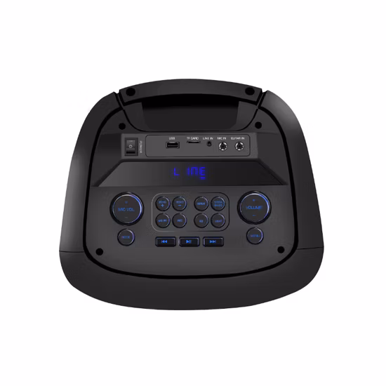 Guangzhou OEM duplo woofer de 10 polegadas caixa de som portátil caixa de som chama privada luz LED ativo auxiliar sem fio Bt alto-falante de áudio