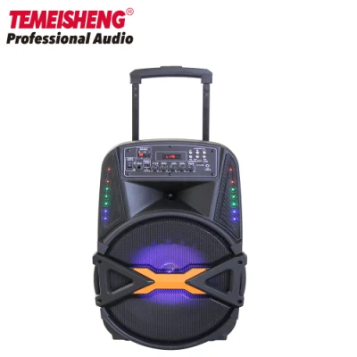 Temeisheng Bluetooth Remote Control LED Light Woofer de 15 polegadas com USB